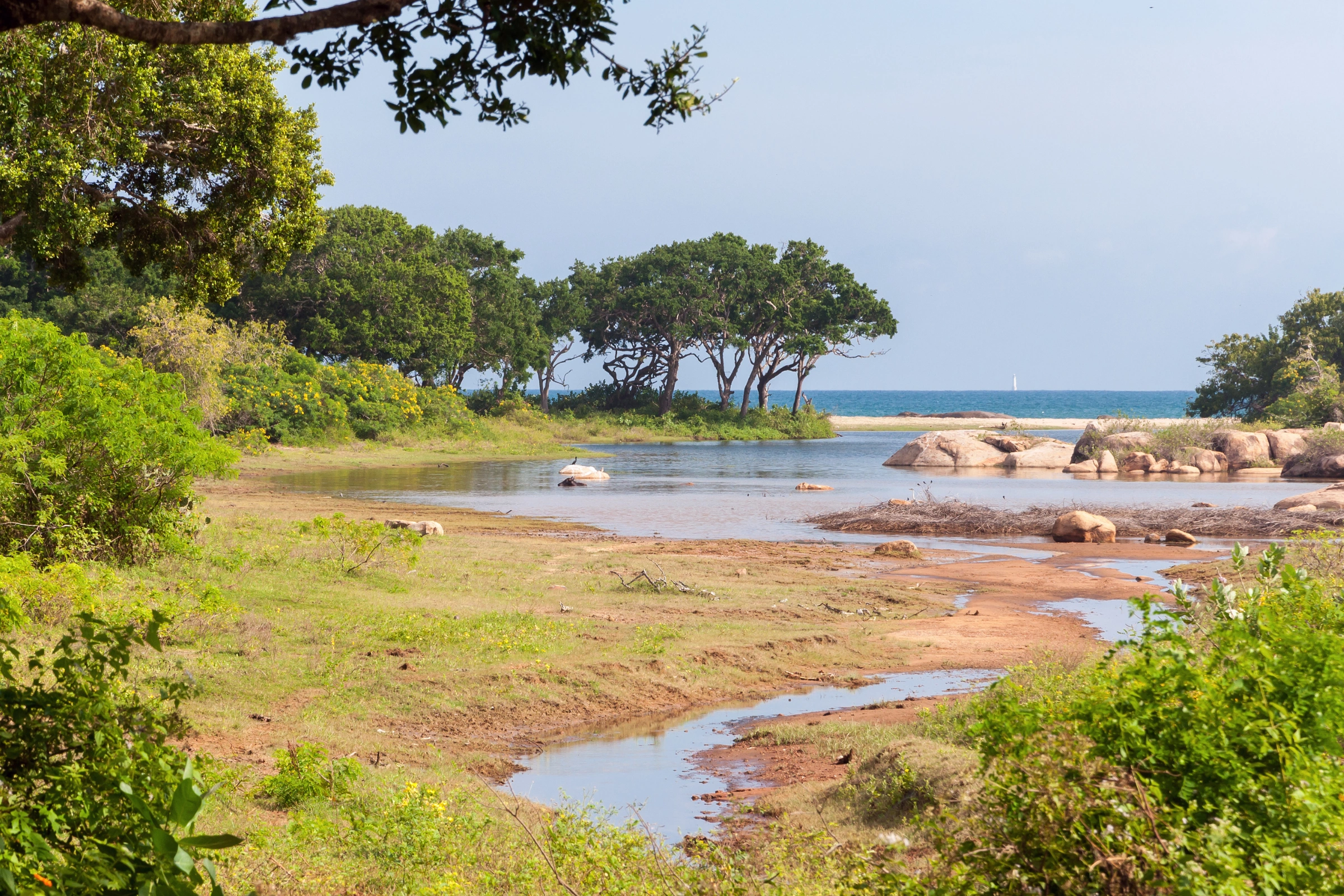 Yala_National_Park_(Sri_Lanka)[1].webp